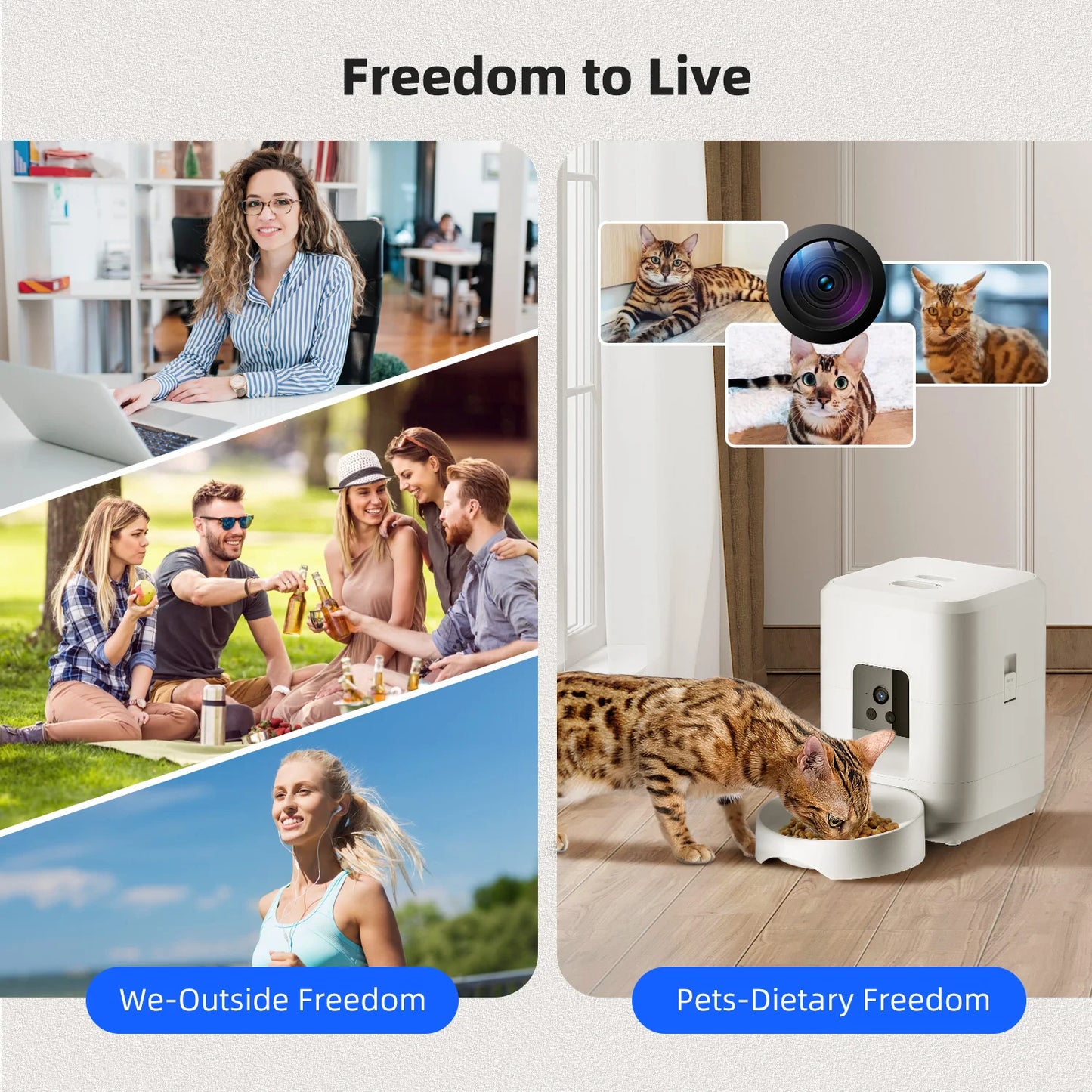Fontaine à eau intelligente sans fil pour animaux de compagnie – Distributeur automatique par gravité de 3 L avec minuterie