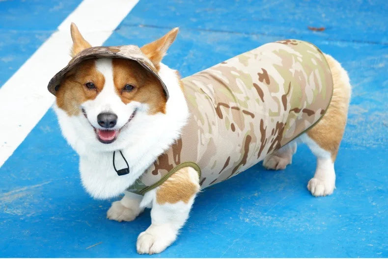 Mesh Cooling Vest & Sun Hat Set for Dogs