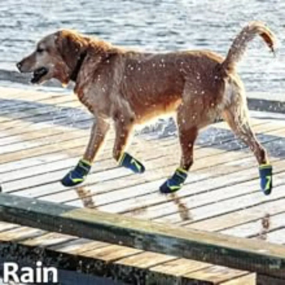 Breathable High-Cut Dog Boots for Hot Pavement & Summer Hiking | Set of 4