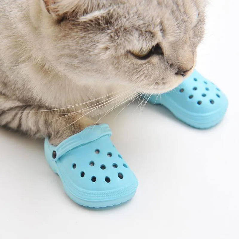 Chaussures de plage imperméables pour animaux de compagnie - Lot de 2