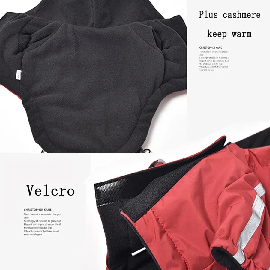 Manteau imperméable à capuche pour chien