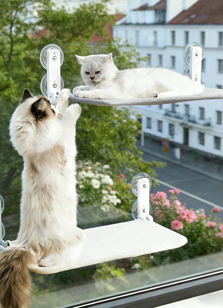 Large Cat Window Hammock – Reinforced Suction Cup Perch with Washable Cover