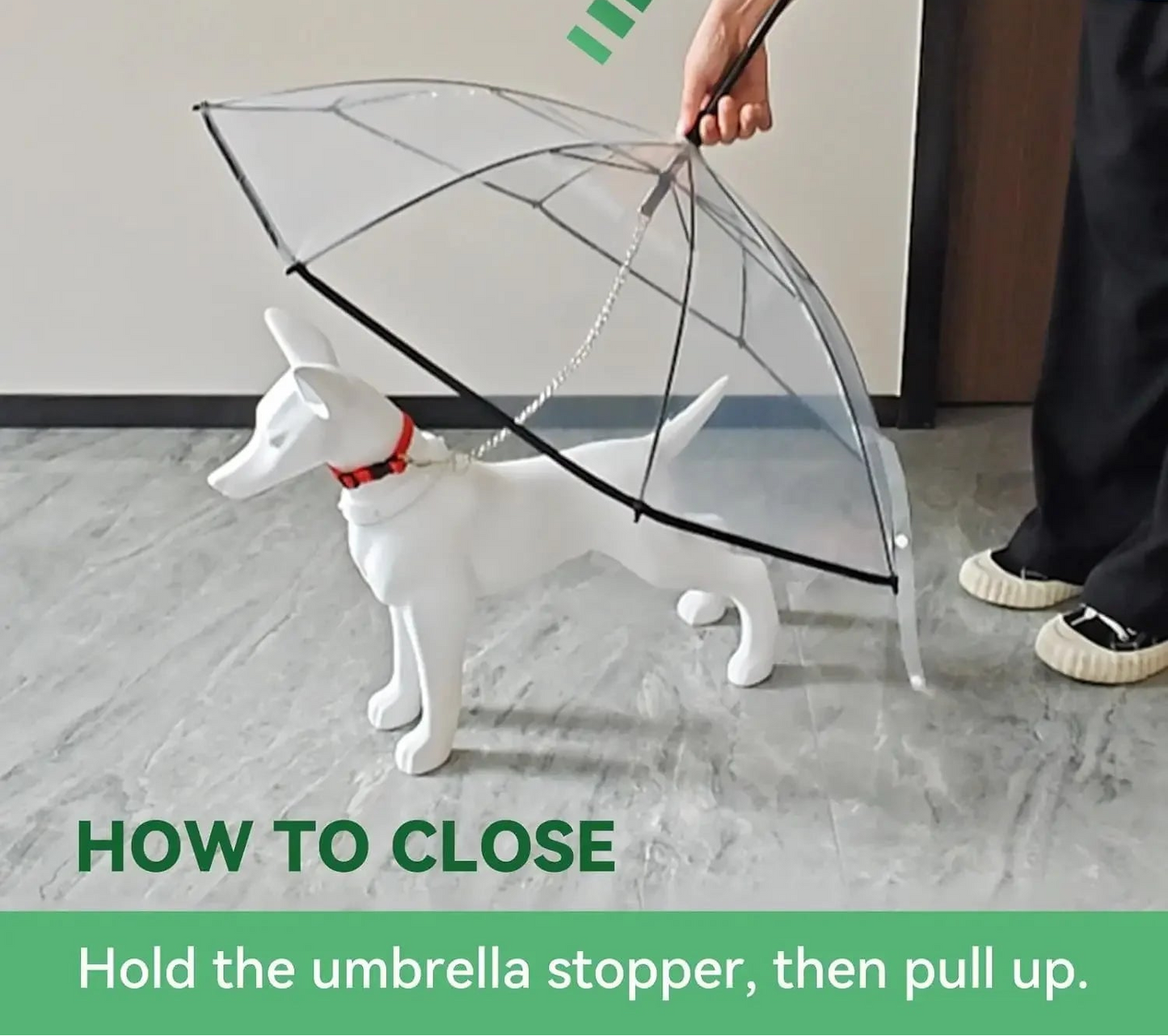 Pet Umbrella with Built-in Leash - Clear Canopy for Small Dogs and Cats