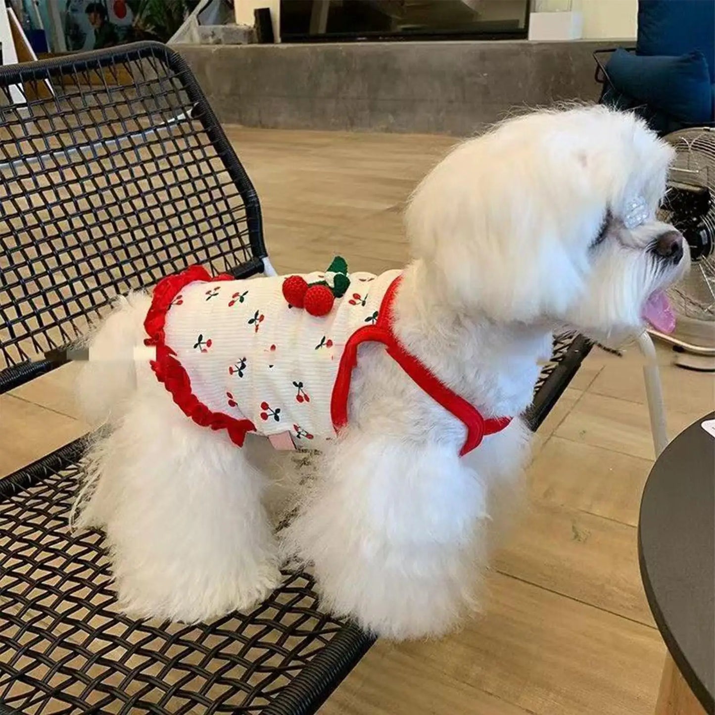 Breathable Summer Vest for Small Dogs & Cats