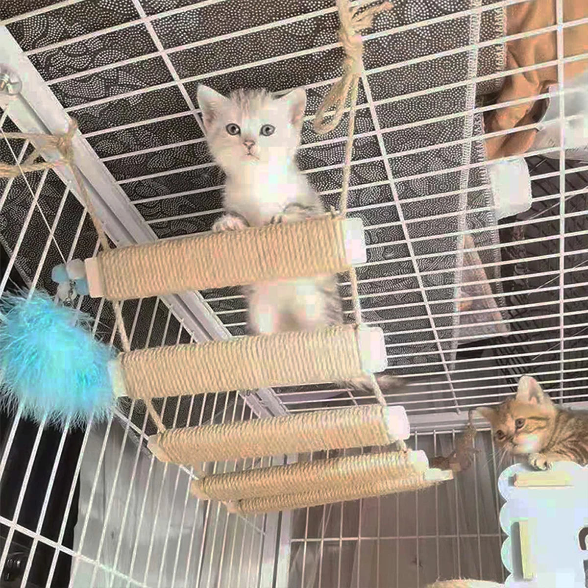Wooden Cat Climbing Ladder & Bridge