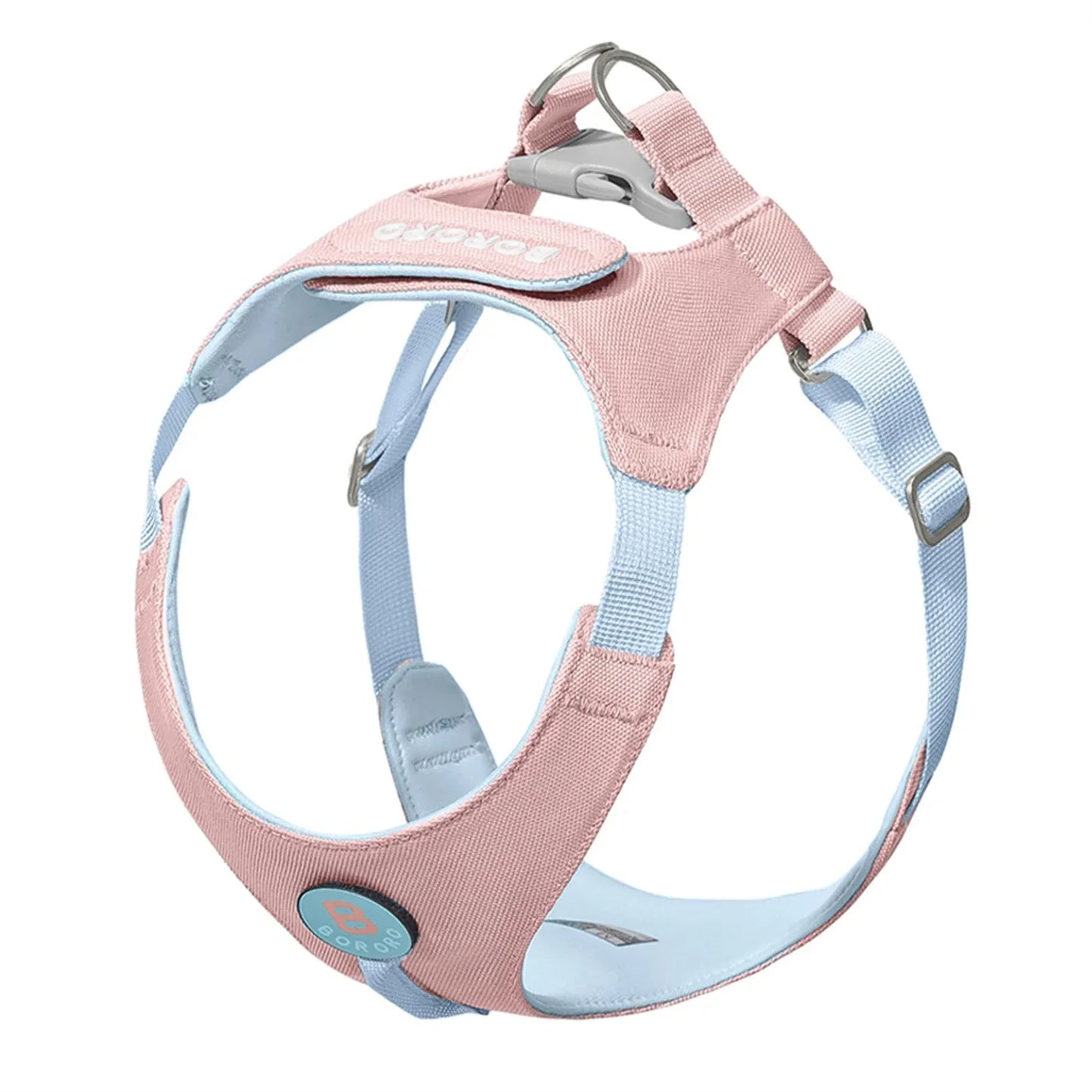 Ensemble Collier et Laisse pour Chien - Harnais de Poitrine pour Petits Chiens