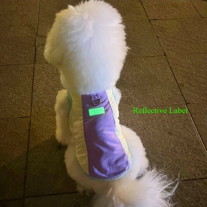 Gilet rafraîchissant réfléchissant et t-shirt d'été pour chiens et chats de petite, moyenne et grande taille