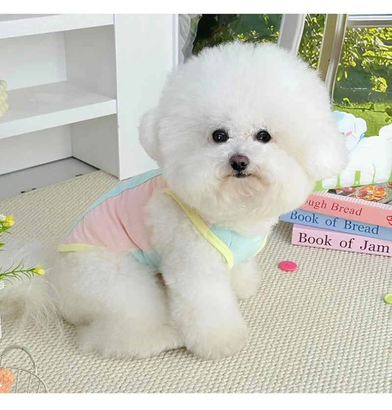 Gilet rafraîchissant réfléchissant et t-shirt d'été pour chiens et chats de petite, moyenne et grande taille