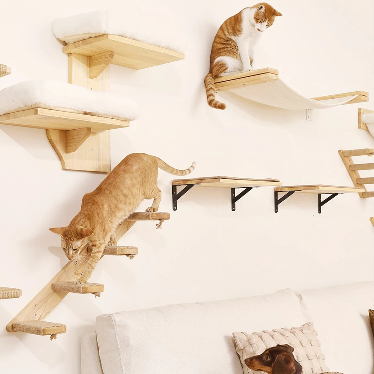 Wall-Mounted Cat Climbing Shelf & Hammock Set