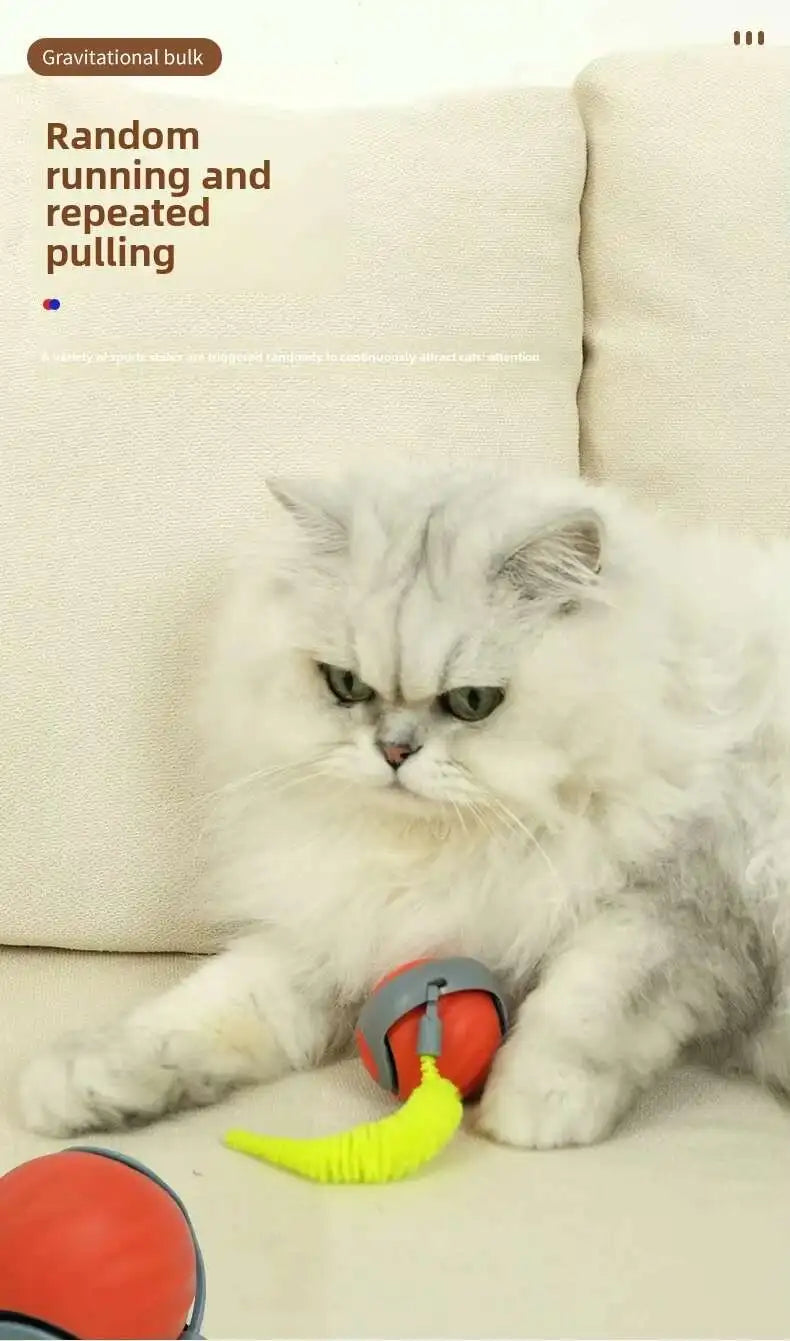 Smart Touch & Motion Activated Rolling Ball Toy for Cats & Dogs