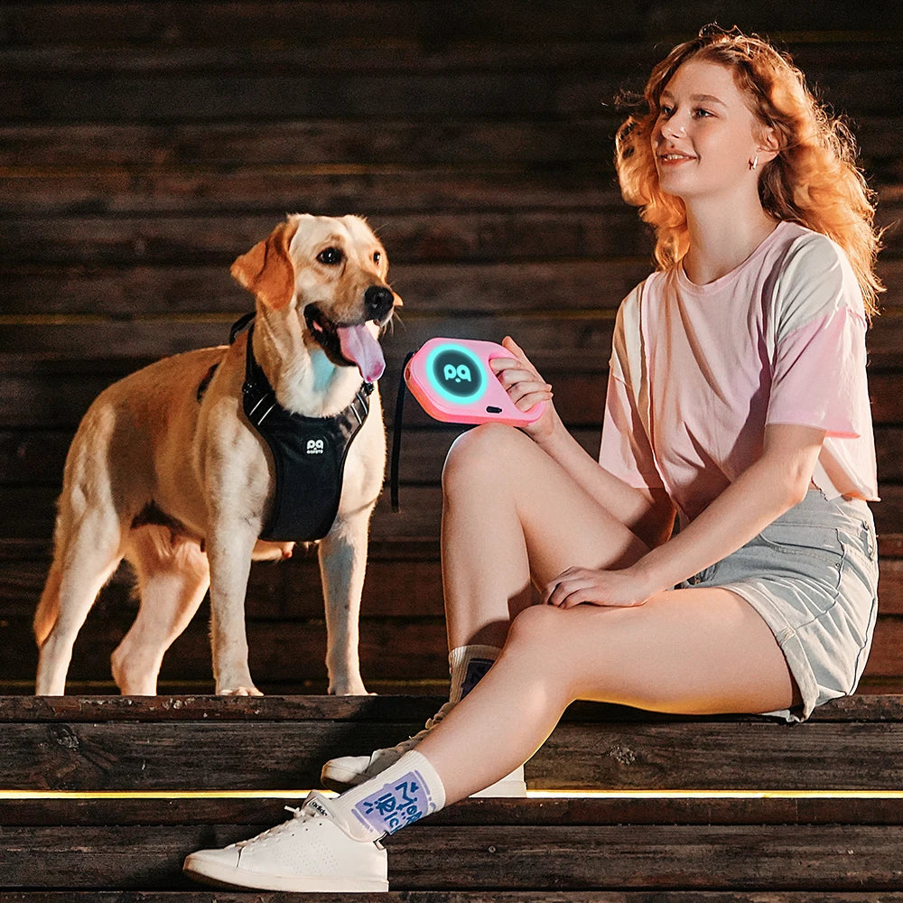 LED Retractable Dog Leash | 5M Rechargeable Light-Up Leash