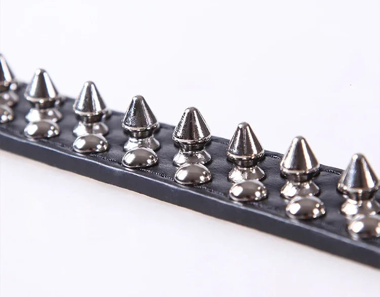 PU Leather Punk Rivet Spiked Collar for Small Dogs & Cats