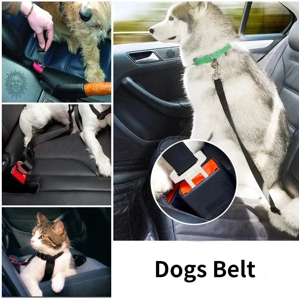 Adjustable Pet Car Seat Belt Safety Harness for Dogs and Cats