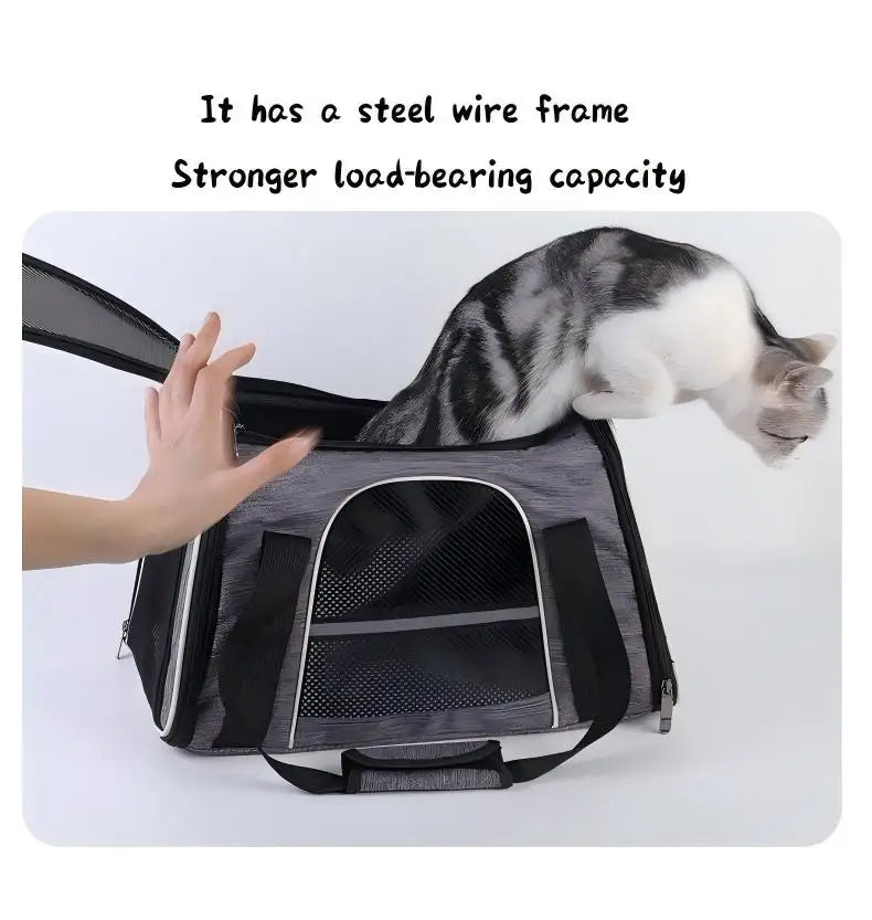 Foldable Pet Travel Carrier