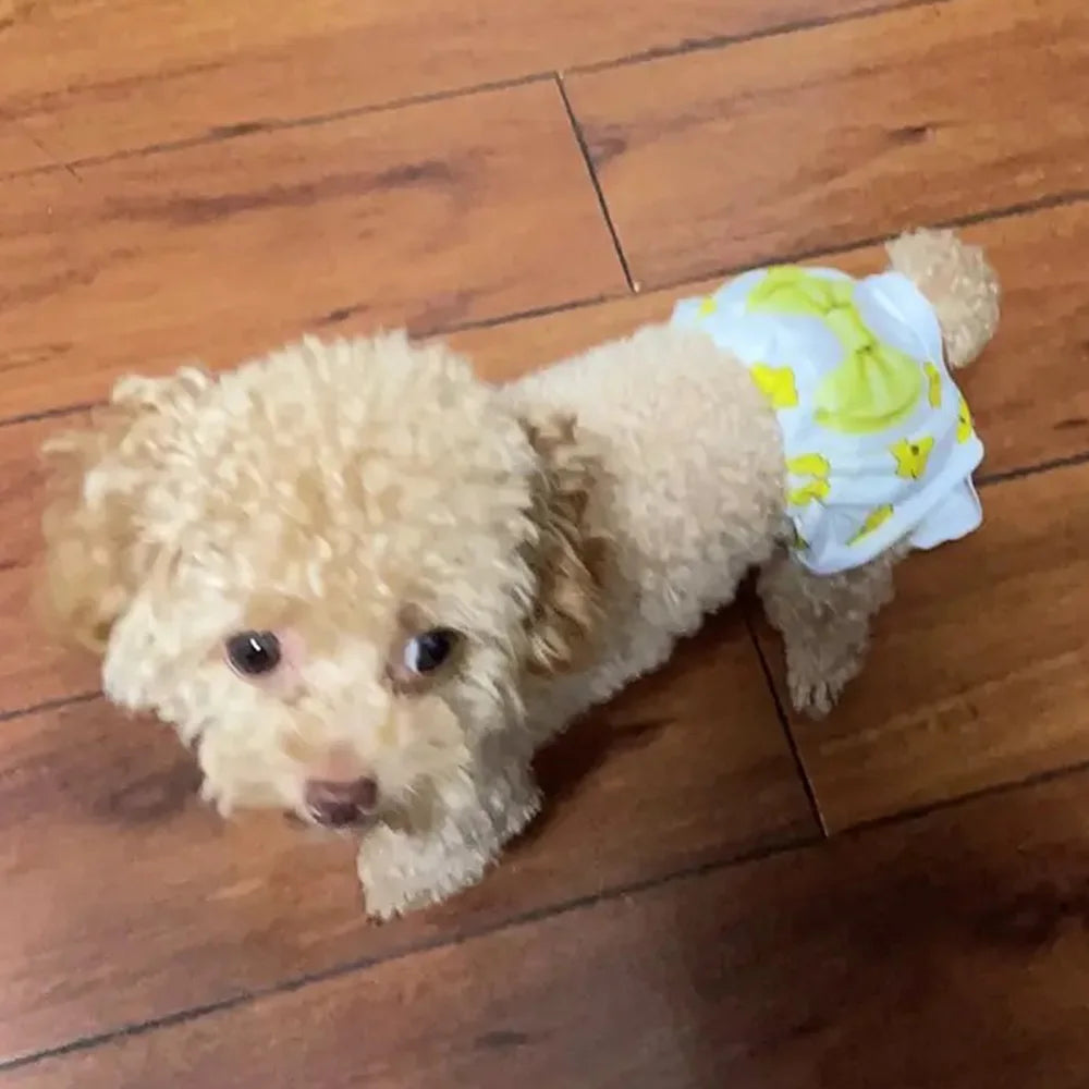 Washable Physiological Pants for Female Dogs & Cats