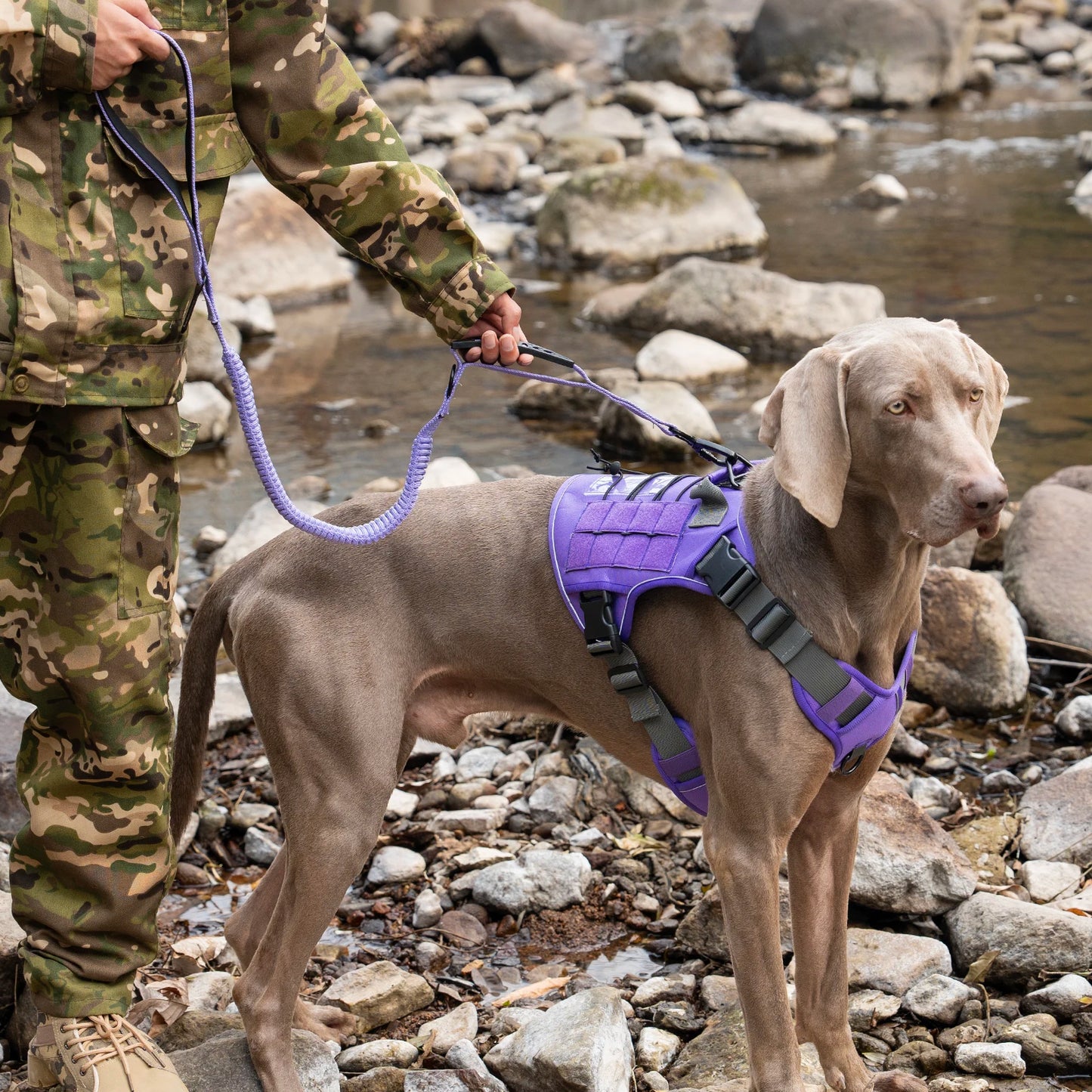 Tactical No-Pull Dog Harness — Reflective Adjustable Working & Training Vest for Small, Medium & Large Dogs