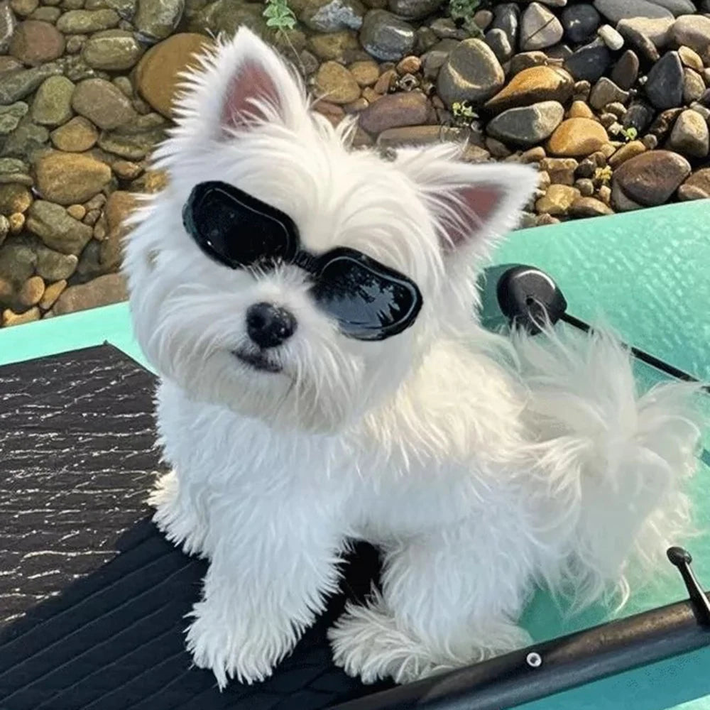 UV & Windproof Sunglasses Goggles for Small Dogs & Cats
