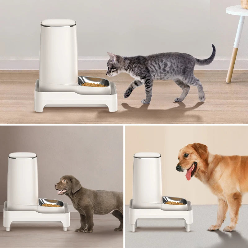 Adjustable Elevated Pet Feeder Stand for Cats & Dogs