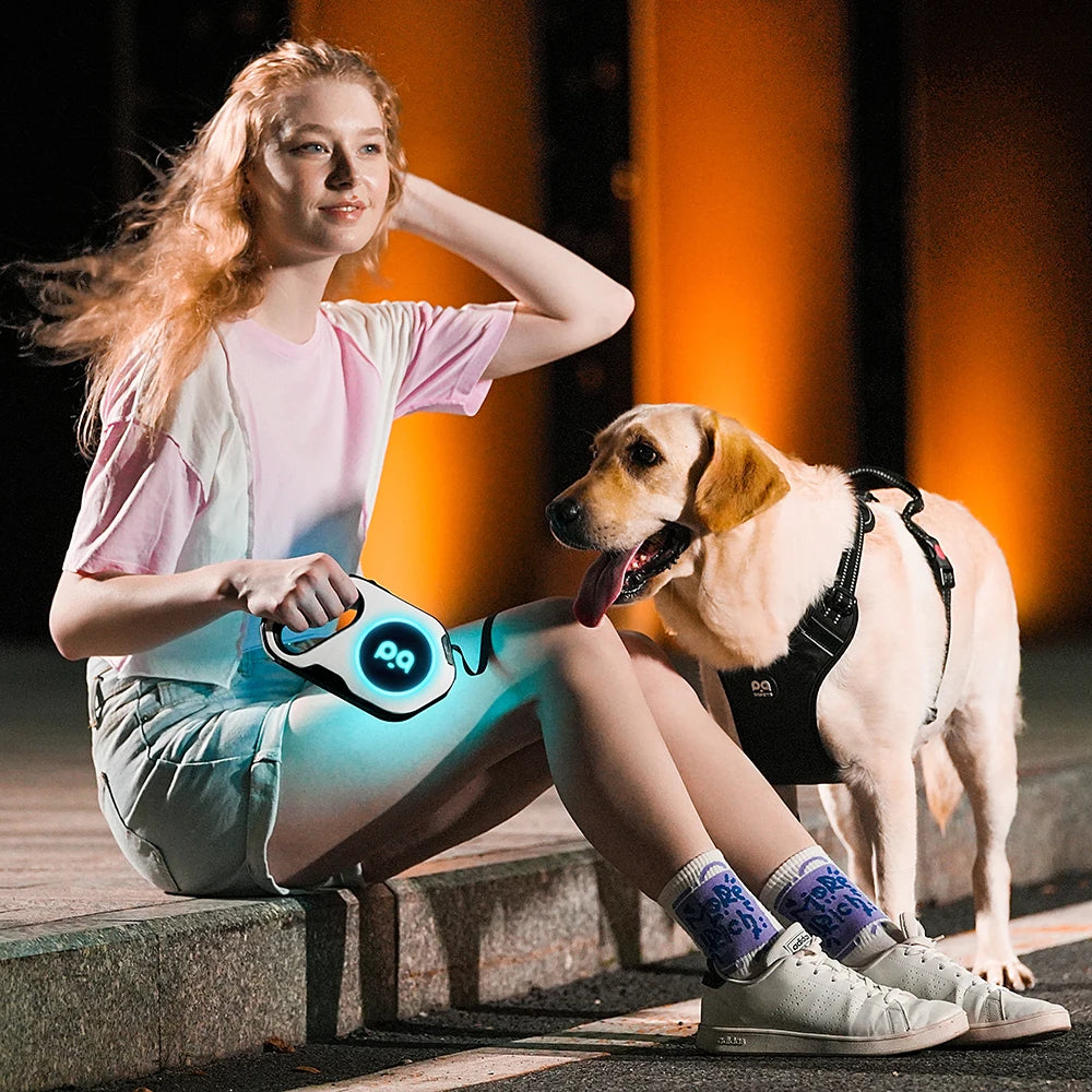 LED Retractable Dog Leash | 5M Rechargeable Light-Up Leash
