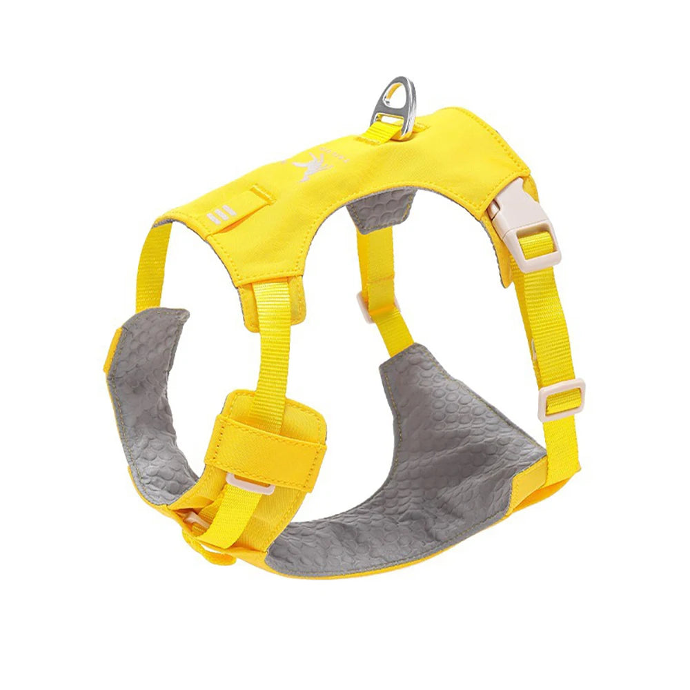 Lightweight Dog Harness & Leash Set Anti-Pull Escape-Proof Pet Walking Lead for Small Medium Large Dogs