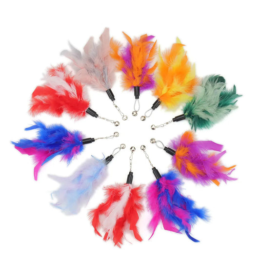 Bright Colour Feather Cat Teaser Replacement Pack (5 Pcs Random Mix)
