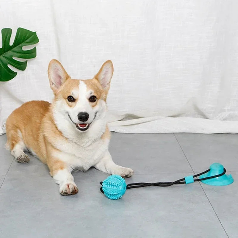 Suction Cup Tug Toy with Ball