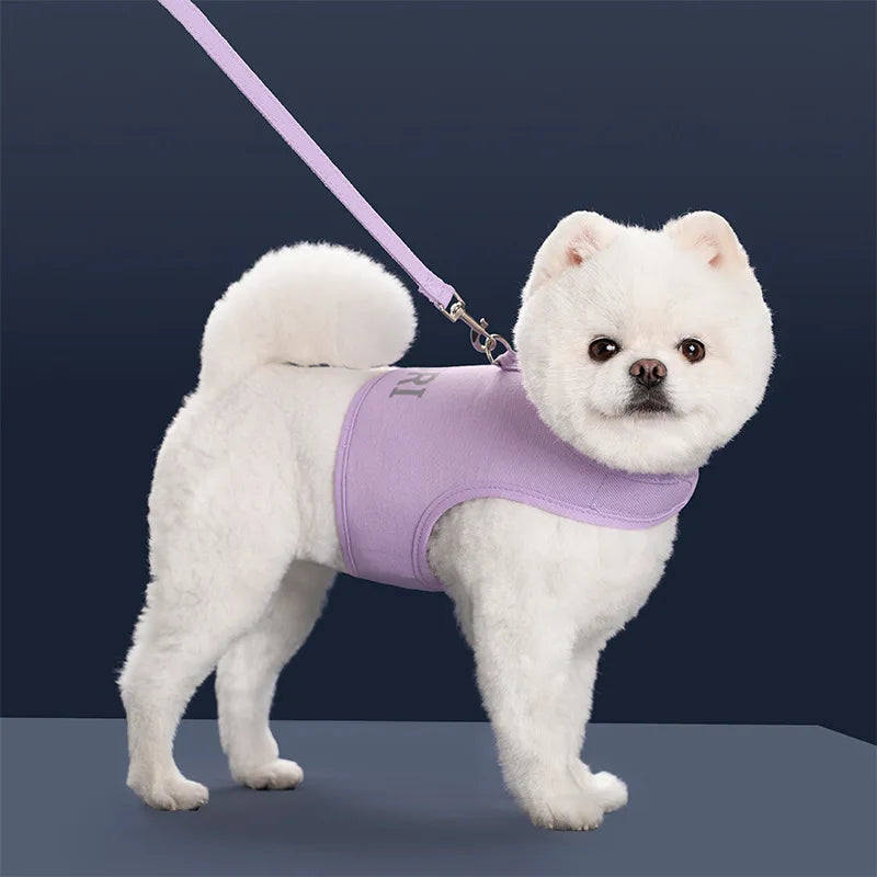 Harnais réglable anti-évasion et laisse pour petits chiens et chats
