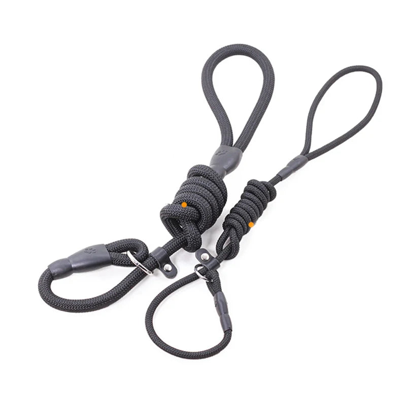 Nylon Slip Lead Training Leash for Small & Medium Dogs