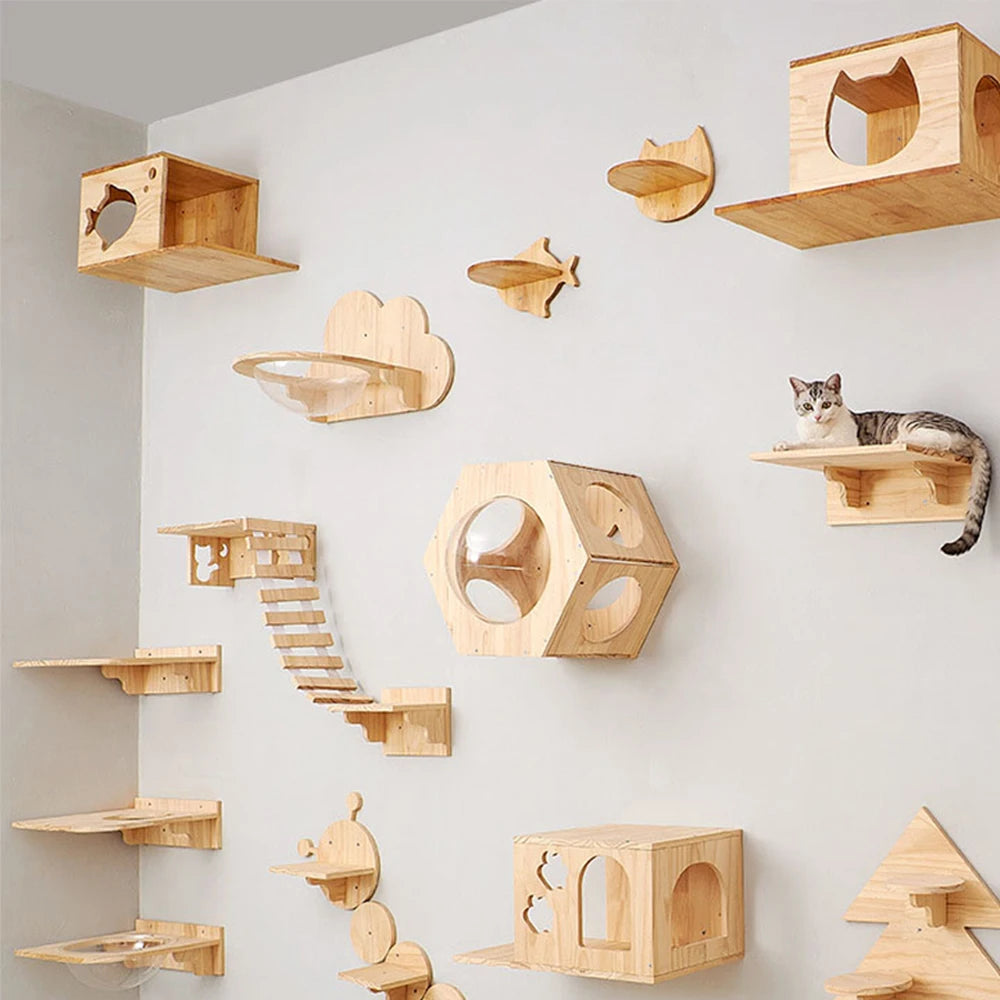 Wall-Mounted Cat Climbing Furniture & Hammocks