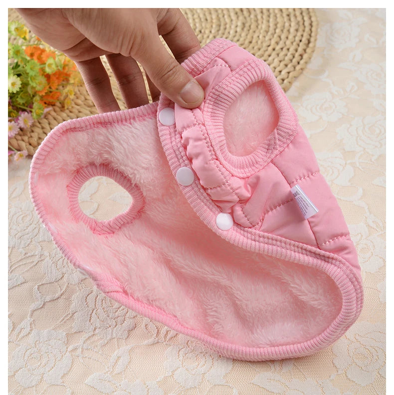 Windproof Padded Dog Coat for Small Dogs