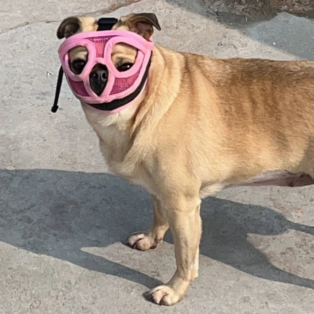Breathable Mesh Dog Muzzle | Anti-Bite & Anti-Ingestion