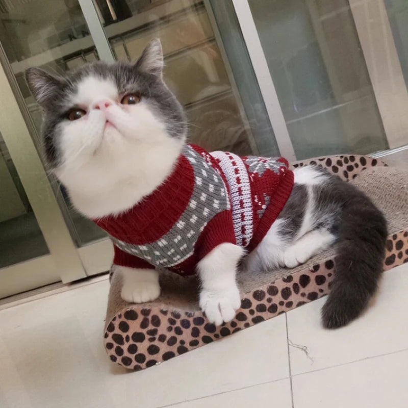 Animal Print Knit Sweater for Cats & Small Dogs