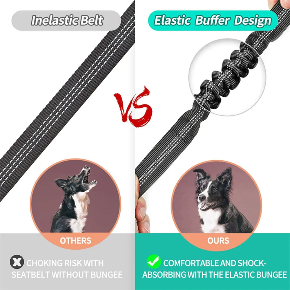Ceinture de sécurité rétractable pour chien avec bande réfléchissante