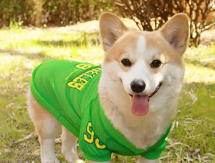LA Style Dog Cooling Vest | Summer Breathable Shirt for Small to Large Dogs