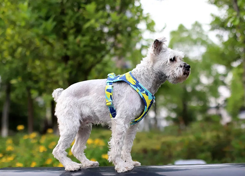 Adjustable Mesh Vest Harness for Dogs & Cats