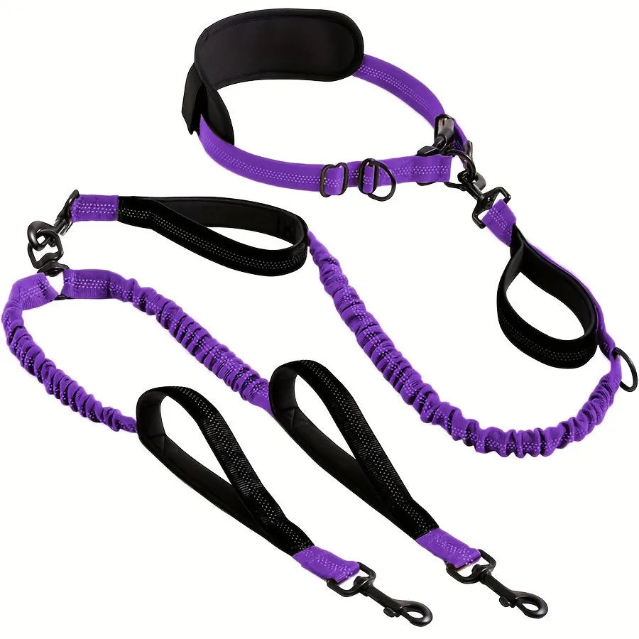 Double Dog Leash with Elastic Shock Absorber