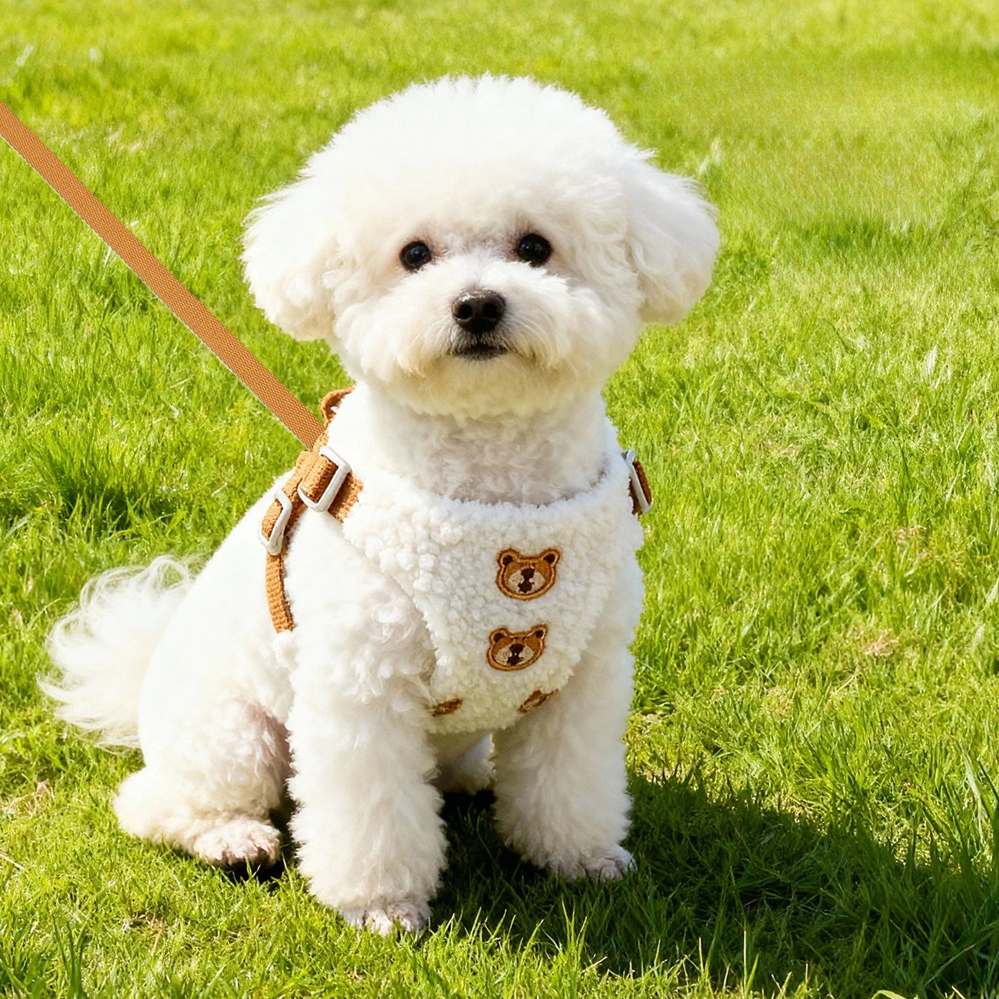 Bear Design Breathable Harness & Leash Set for Small Dogs & Cats