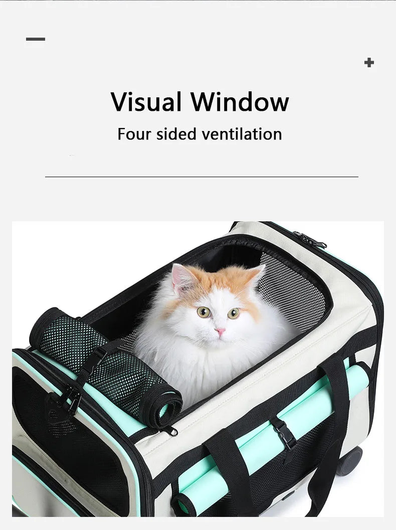 Sac de transport pliable pour animaux de compagnie — Grande valise de voyage détachable