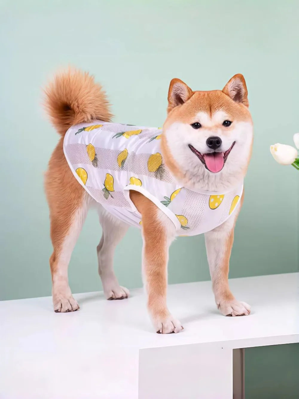 Breathable Mesh Cooling Vest for Dogs