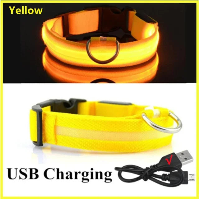Collier lumineux LED pour chien - Réglable, clignotant, rechargeable - Collier lumineux pour la sécurité nocturne - Harnais lumineux anti-perte pour chien