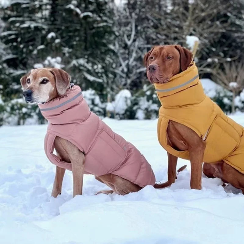 Waterproof High-Collar Down Jacket for Dogs