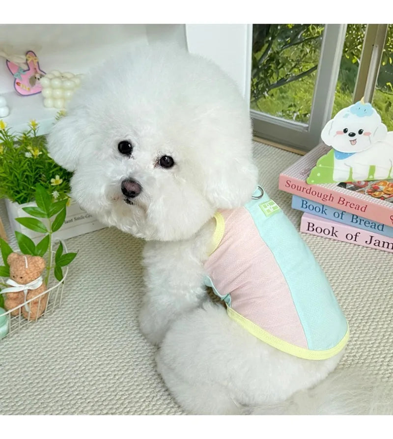 Gilet rafraîchissant réfléchissant et t-shirt d'été pour chiens et chats de petite, moyenne et grande taille