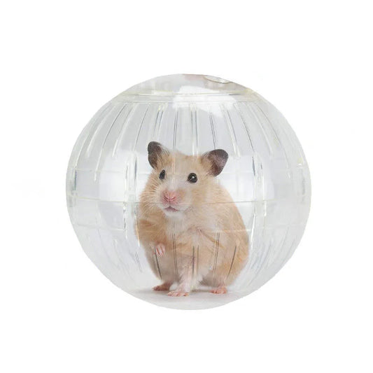 Translucent Exercise Ball for Hamsters & Rats