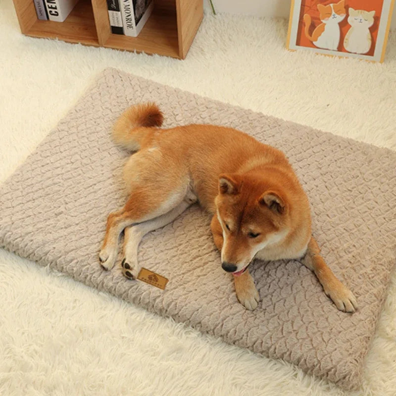 Orthopedic Memory Foam Dog Bed with Washable Faux Fur Cover