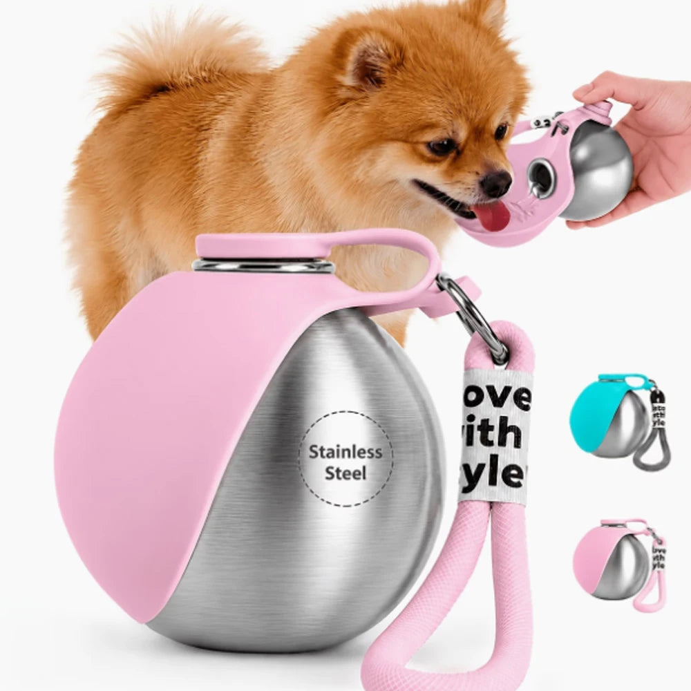 Portable Stainless Steel Travel Water Bowl for Dogs & Cats