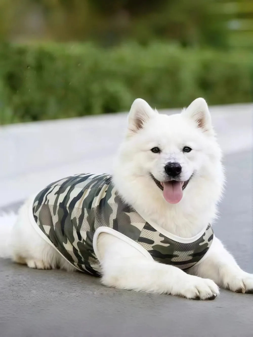 Breathable Mesh Cooling Vest for Dogs
