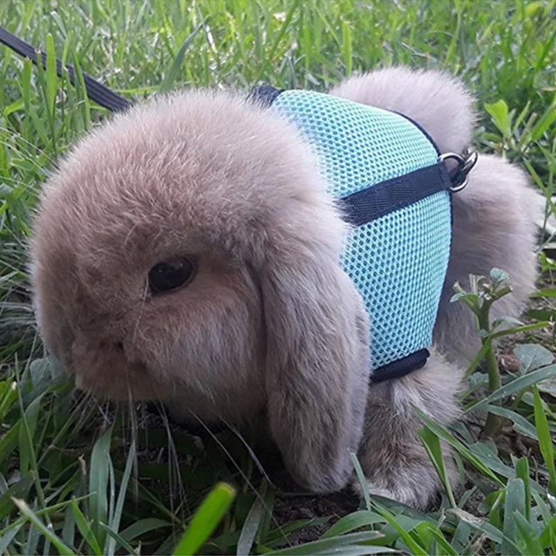 Mesh Breathable Harness & Leash Set for Rabbits, Ferrets & Small Pets