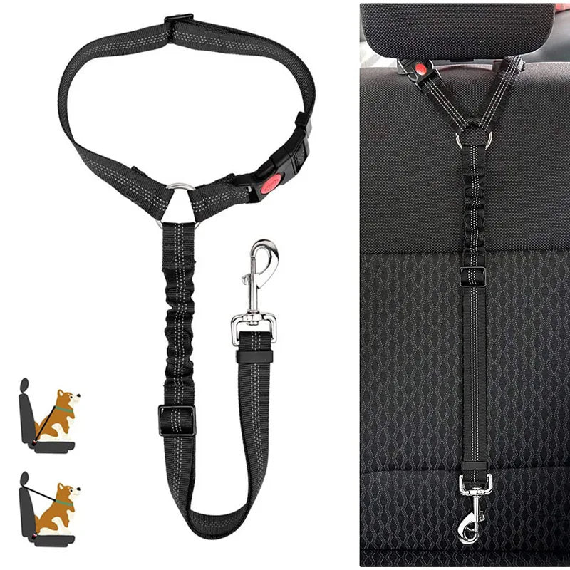 Reflective Dog Car Seat Belt and Walking Leash for Small Dogs