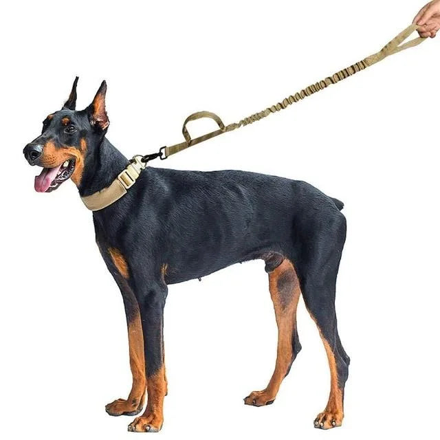 Laisse Tactique Militaire pour Chien - Laisse en Nylon Robuste avec Absorption des Chocs