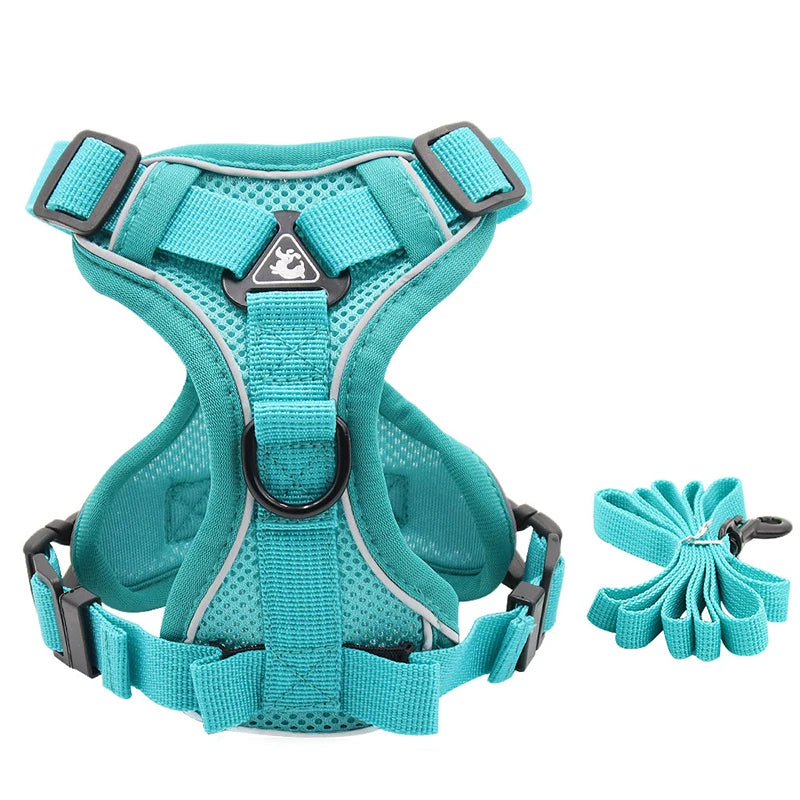 Reflective Mesh Cat & Dog Harness with Leash Set